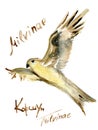 Watercolor image of Kite bird are flying.