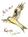 Watercolor image of Kite bird are flying