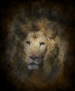 Watercolor Image Of Lion Royalty Free Stock Photo