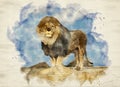 Watercolor image of male lion standing proudly on a cliff rock looking at the camera with blue sky in background. Royalty Free Stock Photo