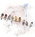 Watercolor Image Of Perching Birds