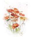 Watercolor Image Of Red Poppy Flowers