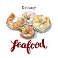 Watercolor image of seafood. Fresh peeled shrimp on a white background