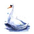 Watercolor image of single white swan on blue waves extracted on white background with blue paint splashes. Hand drawn Royalty Free Stock Photo