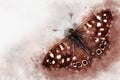 Watercolor image of a Speckled wood butterfly on a vintage background. Painted butterfly close-up. Handmade illustration. Animal