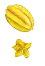 Watercolor image of star fruit Royalty Free Stock Photo