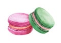 Watercolor image of two colorful macaroons isolated on white background. Hand drawn illustration of pink and green almond biscuits