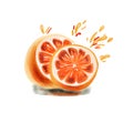 Watercolor image of two halves of an orange with splashes of juice Royalty Free Stock Photo