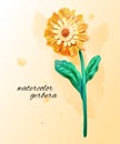 Watercolor imitation of yellow gerbera. Single flower with paint