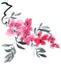 Watercolor and ink illustration of blossom tree with pink flowers, buds and leaves. Oriental traditional painting in style sumi-e Royalty Free Stock Photo