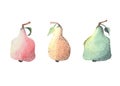 Hand drawn Watercolor and Ink pen Illustration with 3 pears pink, orange, green, isolated on a white background Royalty Free Stock Photo
