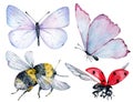 Watercolor insects blue and pink butterflies, bumble bee and flying ladybug isolated on the white background.