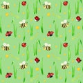 Watercolor Insects seamless pattern with fly ladybug, bee, caterpillar illustration. Hand drawn botanical grass herbs on