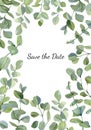 Watercolor inspiration card with hand painted silver dollar eucalyptus. Green branches and leaves isolated on white background.