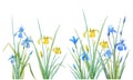 Watercolor iris flowers vector composition Royalty Free Stock Photo