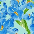 Watercolor iris seamless pattern.