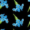 Watercolor iris seamless pattern.