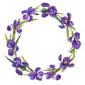 Watercolor irises wreath on the white background.