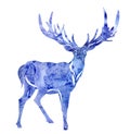 Watercolor isolated blue winter reindeer on white background