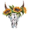 Watercolor isolated bull`s head with flowers and feathers on white background. Boho style. Skull for wrapping, wallpaper