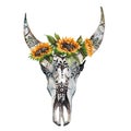 Watercolor isolated bull`s head with flowers and feathers on white background. Boho style. Skull for wrapping, wallpaper Royalty Free Stock Photo