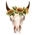 Watercolor isolated bull`s head with flowers and feathers on white background. Boho style. Skull for wrapping, wallpaper Royalty Free Stock Photo