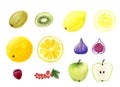 Hand drawn watercolor isolated fruits set