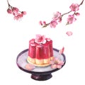 Watercolor japanese confectionery, composition edible flower Sakura in jelly on ceramic plate and with sakura branch