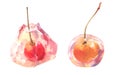 Watercolor japanese desert cherry jelly, isolate on white background.