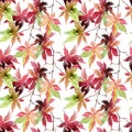 Watercolor japanese maple leaves seamless pattern