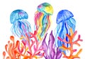 Watercolor jellyfish, algae and corals izolated on white background. Hand painting under the water illustration. Royalty Free Stock Photo