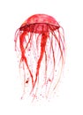 Watercolor jellyfish