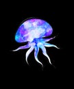 Watercolor jellyfish in modern bright neon colors isolated on black background underwater vivid illustration in large