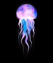 Watercolor jellyfish in modern bright neon colors isolated on black background underwater vivid illustration in large