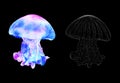 Watercolor jellyfish set in modern bright neon colors and in graphic stroke isolated on black background Vivid