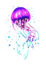 Watercolor jellyfish Royalty Free Stock Photo