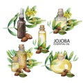 Watercolor jojoba oil set