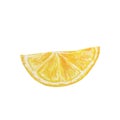 Watercolor juicy lemon slice