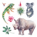 Watercolor jungle animals set Royalty Free Stock Photo