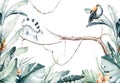 Watercolor jungle illustration of a lemur and toucan on white background. Madagascar fauna zoo exotic lemurs animal Royalty Free Stock Photo