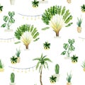 Watercolor jungle seamless pattern tropical plants in pots. House plant and garden elements. Floral, palm tree, monstera
