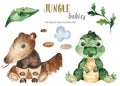 Watercolor jungle set with baby anteater and caiman