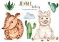 Watercolor jungle set with baby armadillo and llama Royalty Free Stock Photo