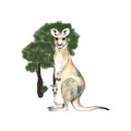 Watercolor kangaroo with australian threes isolated on white background with australian threes . Australian kangaroo