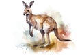 Watercolor kangaroo illustration on white background