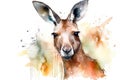 Watercolor kangaroo illustration on white background