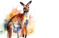 Watercolor kangaroo illustration on white background