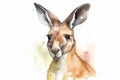 Watercolor kangaroo portrait illustration on white background