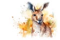 Watercolor kangaroo portrait illustration on white background