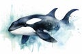 Watercolor killer whale illustration on white background Royalty Free Stock Photo